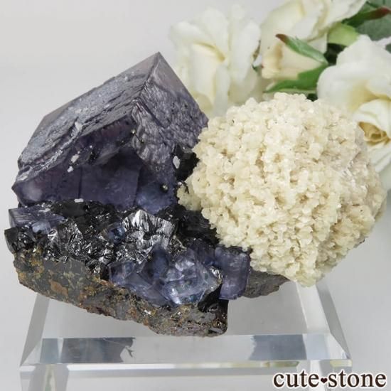 ꥫ ०åɹۻ ѡץ֥롼ե饤ȡХ饤ȡե饤ȡ륵ȡѥ饤Ȥθ No.35μ̿1 cute stone