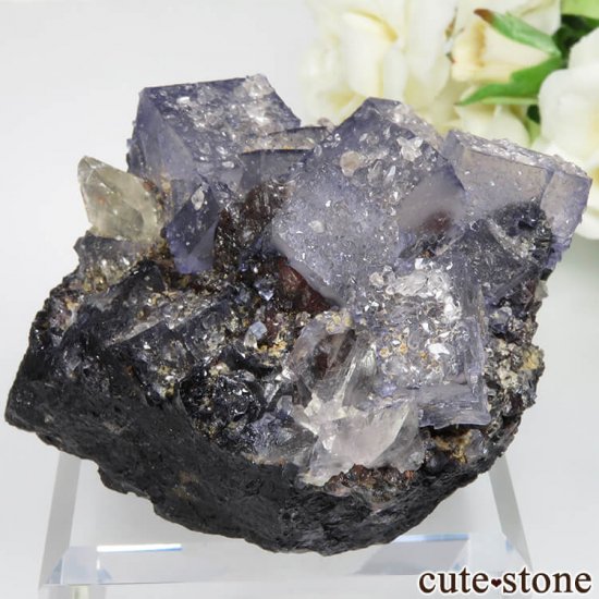 ꥫ ०åɹۻ ѡץ֥롼ե饤ȡե饤ȡ륵Ȥθ No.36μ̿1 cute stone