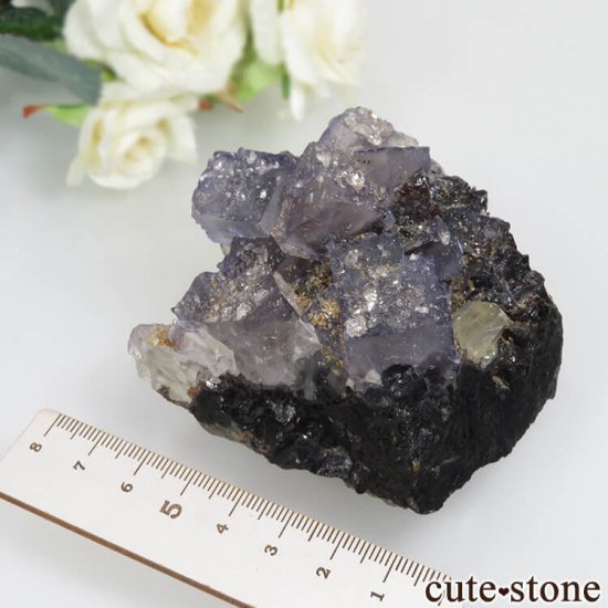 ꥫ ०åɹۻ ѡץ֥롼ե饤ȡե饤ȡ륵Ȥθ No.36μ̿5 cute stone