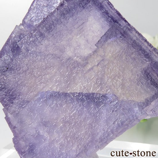 ꥫ ०åɹۻ ѡץ֥롼ե饤Ȥθ No.37μ̿3 cute stone