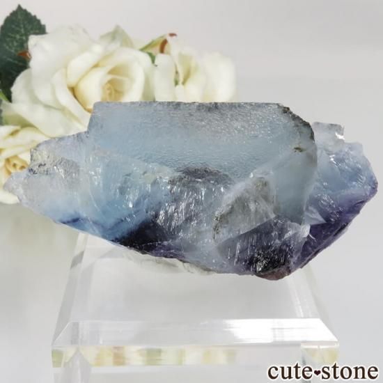 󥴥뼫 Yindu Ag-Pb-Zn deposit ե饤Ȥθ No.1μ̿1 cute stone