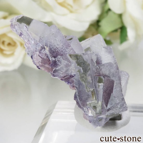 󥴥뼫 Yindu Ag-Pb-Zn deposit ե饤Ȥθ No.4μ̿0 cute stone