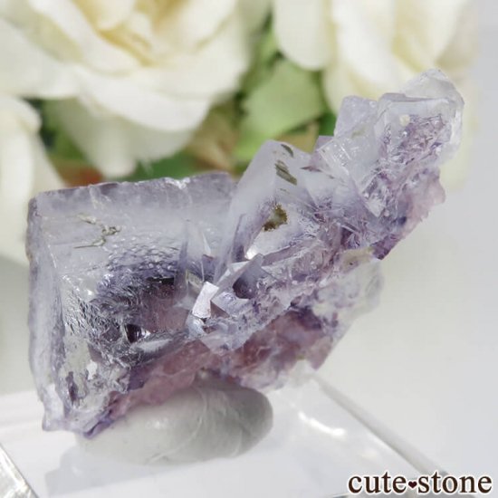 󥴥뼫 Yindu Ag-Pb-Zn deposit ե饤Ȥθ No.4μ̿1 cute stone