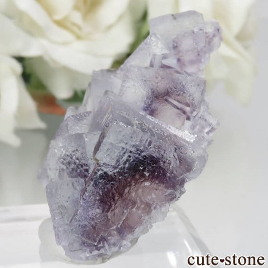 󥴥뼫 Yindu Ag-Pb-Zn deposit ե饤Ȥθ No.4μ̿2 cute stone