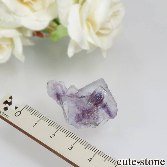 󥴥뼫 Yindu Ag-Pb-Zn deposit ե饤Ȥθ No.4μ̿3 cute stone