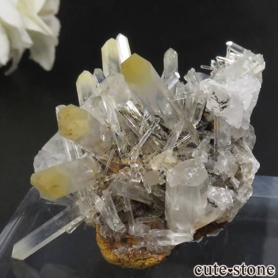 ӥ ޥ󥴡ġʥϥ  ġˤθ No.5μ̿0 cute stone