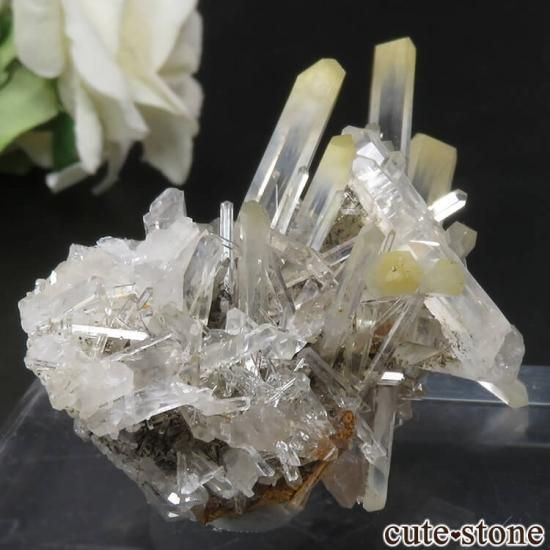 ӥ ޥ󥴡ġʥϥ  ġˤθ No.5μ̿2 cute stone