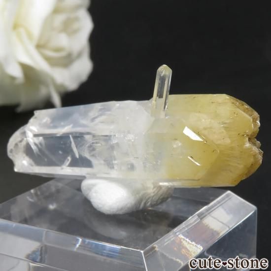 ӥ ޥ󥴡ġʥϥ  ġˤθ No.7μ̿1 cute stone