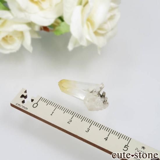 ӥ ޥ󥴡ġʥϥ  ġˤθ No.8μ̿3 cute stone