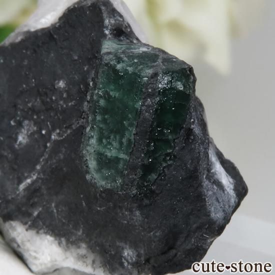 ӥ ॾ ȥԥåդθ No.1μ̿1 cute stone