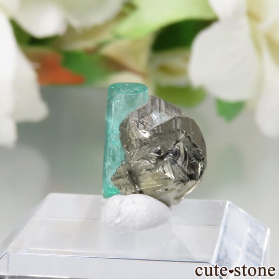 ӥ Chivor Mine ɡѥ饤Ȥη뾽ʸСNo.10μ̿1 cute stone