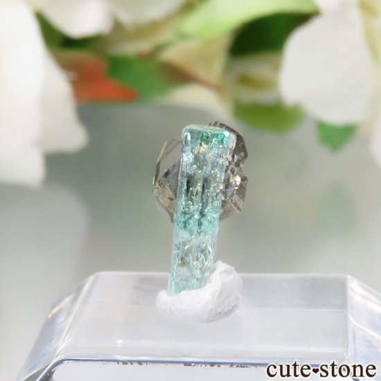 ӥ Chivor Mine ɡѥ饤Ȥη뾽ʸСNo.12μ̿2 cute stone