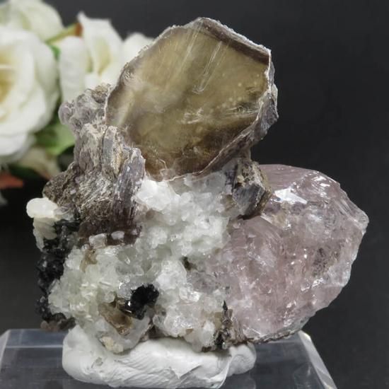 ֥饸 Conselheiro Pena 륬ʥȡ⥹ХȡȥޥХȤθ No.3μ̿1 cute stone