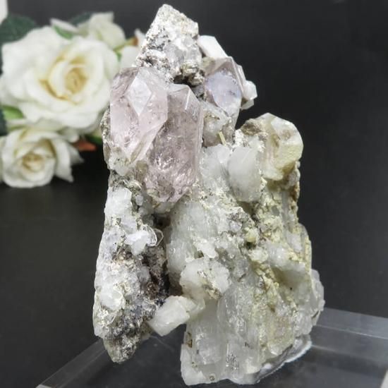 ֥饸 Conselheiro Pena  륬ʥȡ⥹ХȡХ No.4μ̿0 cute stone