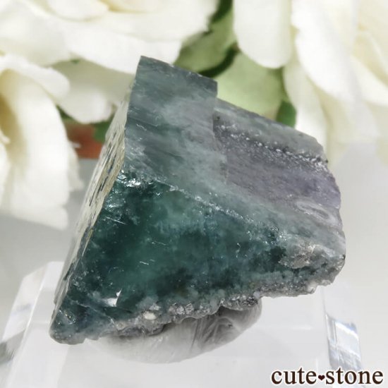 󥴥뼫 Yindu Ag-Pb-Zn deposit ꡼ߥ֥롼ե饤Ȥθ No.5μ̿2 cute stone