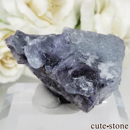 󥴥뼫 Yindu Ag-Pb-Zn deposit ե饤Ȥθ No.6μ̿1 cute stone