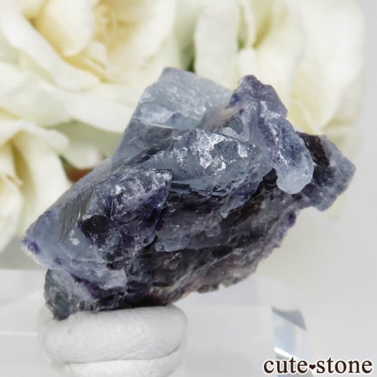 󥴥뼫 Yindu Ag-Pb-Zn deposit ե饤Ȥθ No.6μ̿2 cute stone