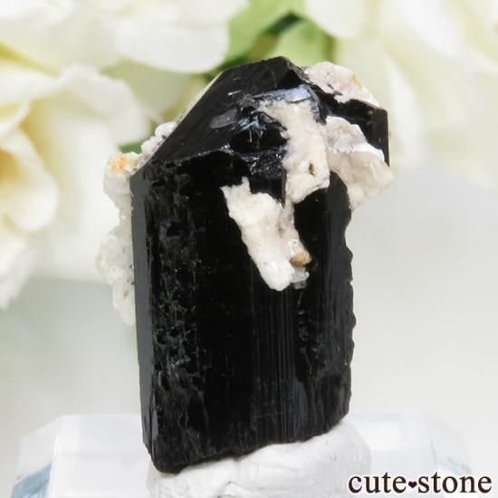 ʥߥӥ 󥴻 ֥åȥޥʥ硼ˡХȤη뾽ʸС No.5μ̿1 cute stone