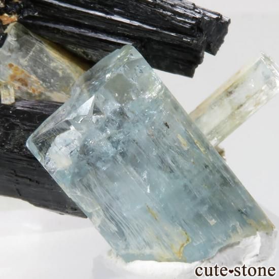 ʥߥӥ 󥴻 ޥ&֥åȥޥη뾽ʸСNo.28μ̿3 cute stone