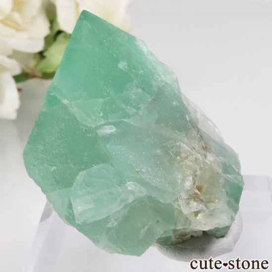 եꥫ Riemvasmaak ꡼ե饤 No.7μ̿0 cute stone