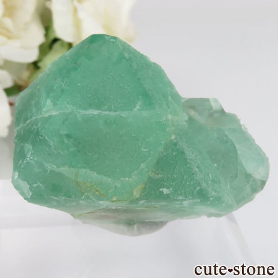 եꥫ Riemvasmaak ꡼ե饤 No.7μ̿1 cute stone