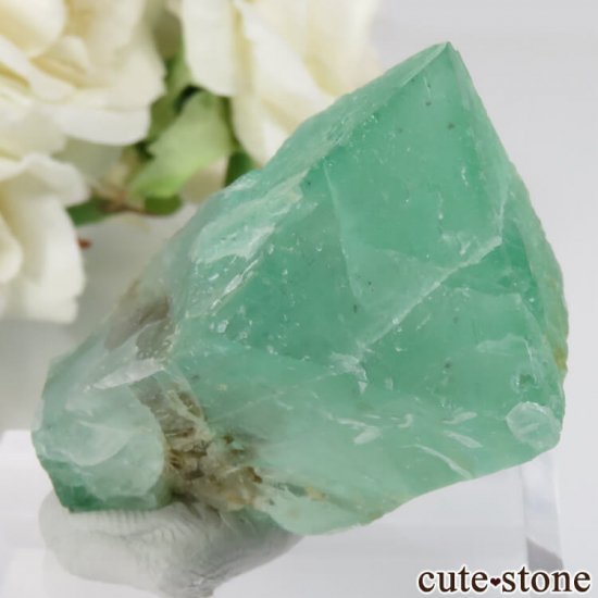 եꥫ Riemvasmaak ꡼ե饤 No.7μ̿2 cute stone