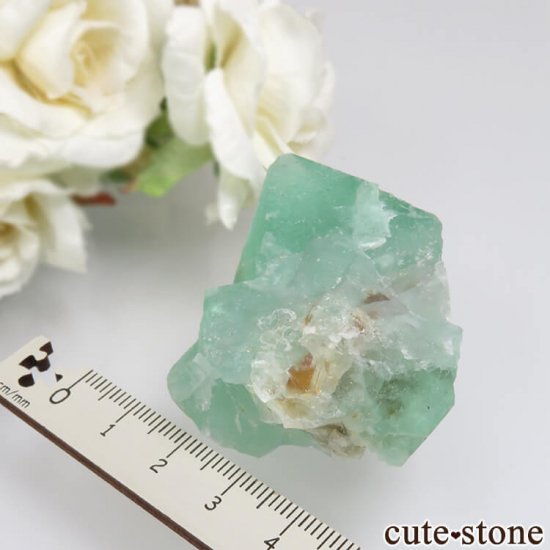 եꥫ Riemvasmaak ꡼ե饤 No.7μ̿3 cute stone