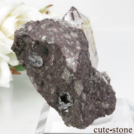 ʥߥӥ ֥ɥСꥢ Goboboseb 饤ȥ顼᥸ȡ⡼Ĥդ No.2μ̿0 cute stone