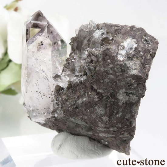 ʥߥӥ ֥ɥСꥢ Goboboseb 饤ȥ顼᥸ȡ⡼Ĥդ No.2μ̿1 cute stone