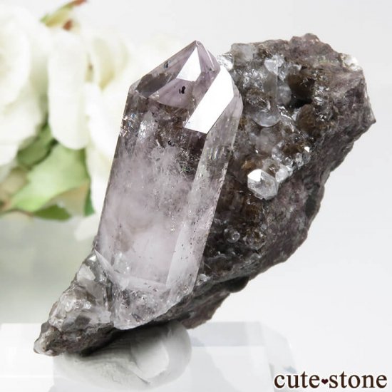 ʥߥӥ ֥ɥСꥢ Goboboseb 饤ȥ顼᥸ȡ⡼Ĥդ No.2μ̿2 cute stone