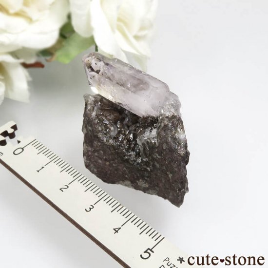 ʥߥӥ ֥ɥСꥢ Goboboseb 饤ȥ顼᥸ȡ⡼Ĥդ No.2μ̿5 cute stone