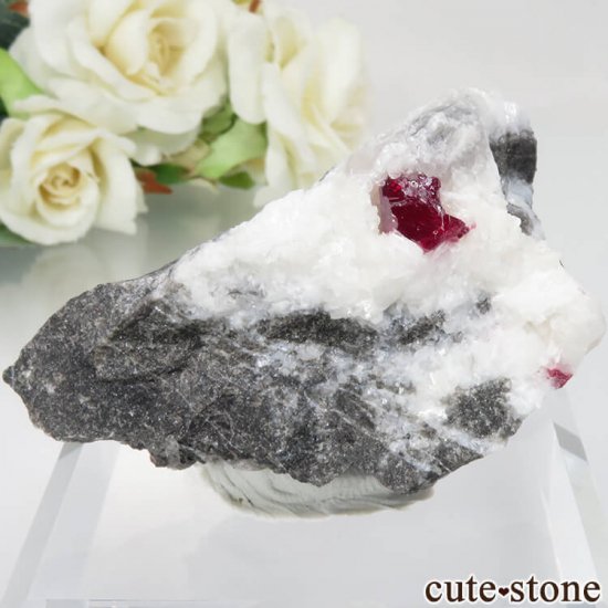  ʻ äʥ󥷥˥ʥСɥޥȤդ No.29μ̿0 cute stone