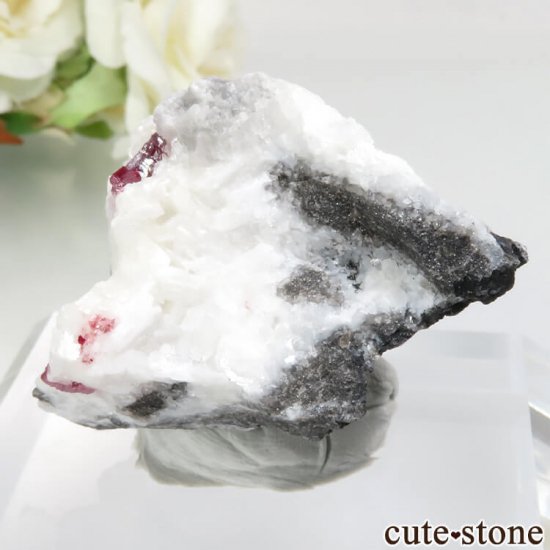  ʻ äʥ󥷥˥ʥСɥޥȤդ No.29μ̿2 cute stone