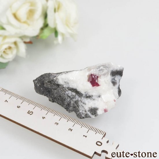 ʻ äʥ󥷥˥ʥСɥޥȤդ No.29μ̿3 cute stone