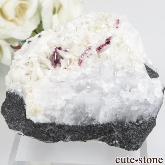  ʻ äʥ󥷥˥ʥСɥޥȤդ No.31μ̿1 cute stone