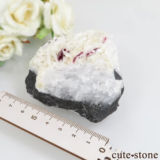  ʻ äʥ󥷥˥ʥСɥޥȤդ No.31μ̿3 cute stone