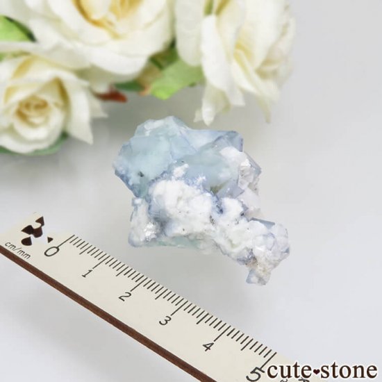 䥪󥷥 ֥롼ߥ꡼ե饤ȡ륵 No.27μ̿4 cute stone