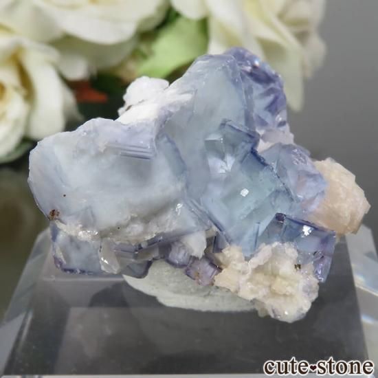 䥪󥷥 ֥롼ߥ꡼ե饤ȡ륳ѥ饤 No.28μ̿0 cute stone