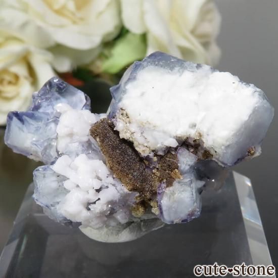 䥪󥷥 ֥롼ߥ꡼ե饤ȡ륳ѥ饤 No.28μ̿1 cute stone