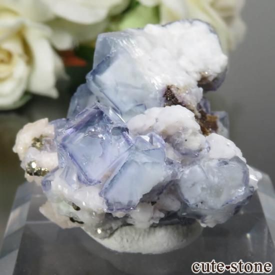 䥪󥷥 ֥롼ߥ꡼ե饤ȡ륳ѥ饤 No.28μ̿2 cute stone