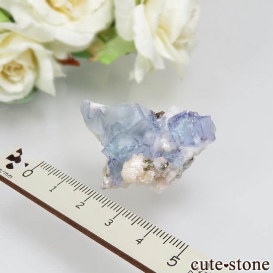 䥪󥷥 ֥롼ߥ꡼ե饤ȡ륳ѥ饤 No.28μ̿3 cute stone