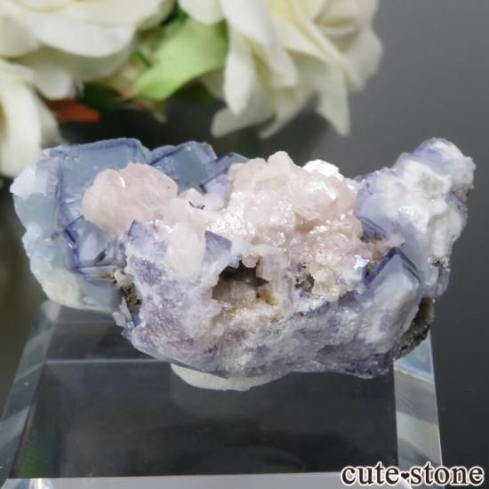 䥪󥷥 ֥롼ߥ꡼ե饤 No.29μ̿1 cute stone