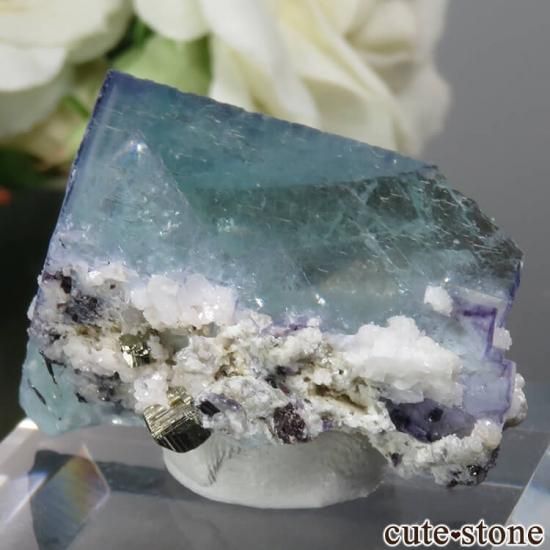 䥪󥷥 ֥롼ߥ꡼ե饤ȡ륳ѥ饤 No.30μ̿1 cute stone