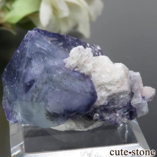 䥪󥷥 ֥롼ե饤ȡ륳ѥ饤 No.31μ̿1 cute stone