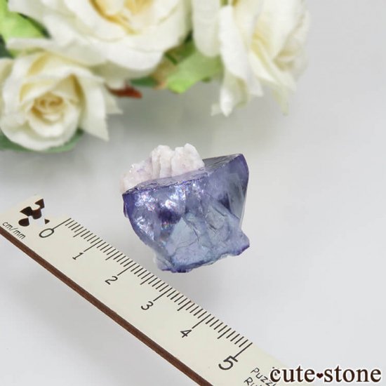 䥪󥷥 ֥롼ե饤ȡ륳ѥ饤 No.31μ̿3 cute stone