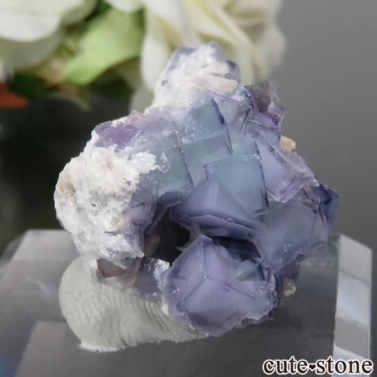 䥪󥷥 ֥롼ߥ꡼ե饤 No.32μ̿0 cute stone