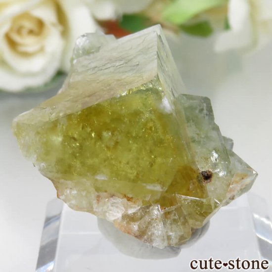 ɥ Dorfel Quarry ߥ꡼ߥ֥롼ե饤 No.27μ̿0 cute stone