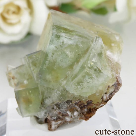 ɥ Dorfel Quarry ߥ꡼ߥ֥롼ե饤 No.27μ̿1 cute stone