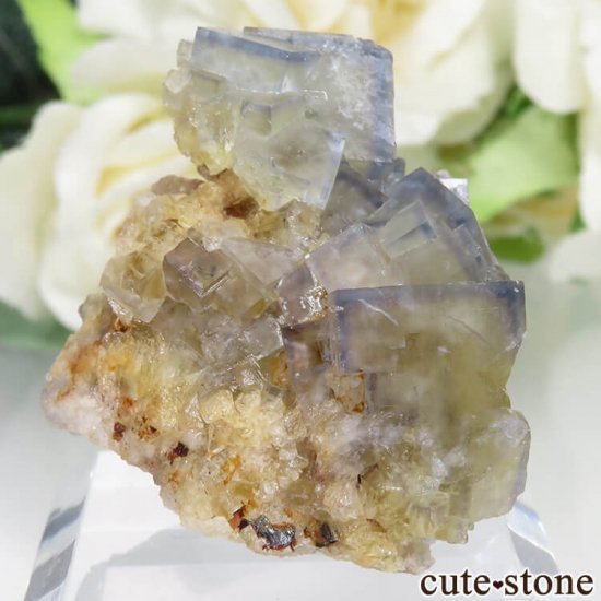 ɥ Dorfel Quarry ߥ֥롼ե饤 No.28μ̿0 cute stone