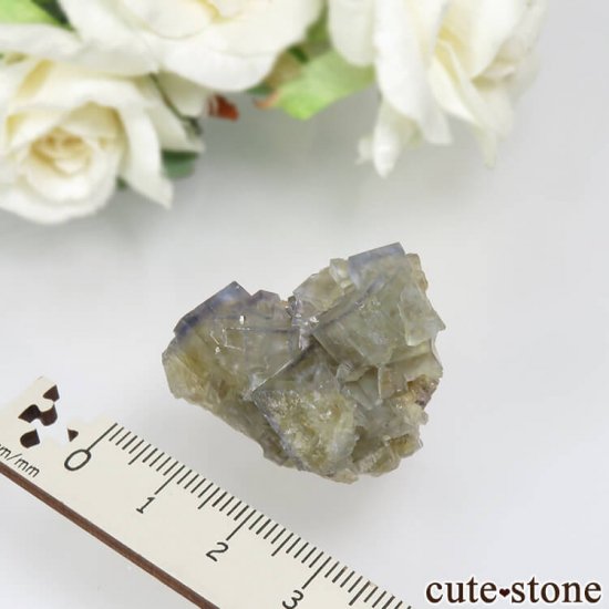 ɥ Dorfel Quarry ߥ֥롼ե饤 No.28μ̿2 cute stone